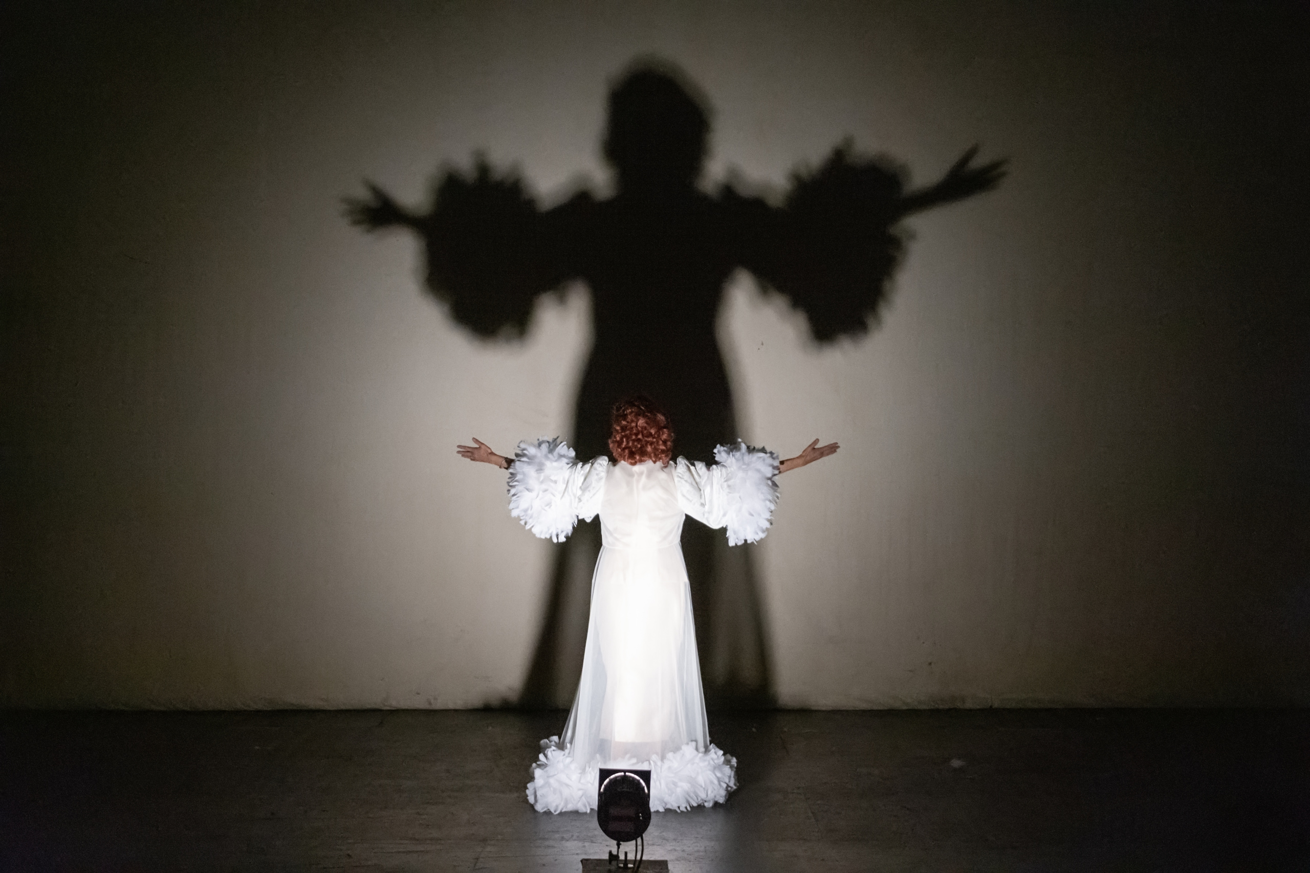 Actor in feathered gown facing upstage with shadow cast larger than life on back wall. 